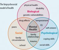 The biopsychosocial model of health